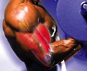 Home Gym Hero's Equipment Swap Guide