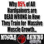 muscle gaining secrets 2.0