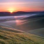 Make Money Online OLSP